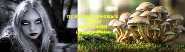 гидра Балахна