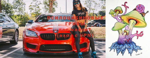 ПСИЛОЦИБИНОВЫЕ ГРИБЫ Ахтубинск