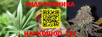 СК Ангарск