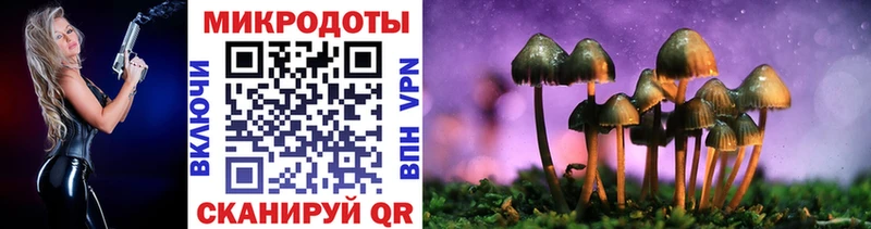 купить закладку  Белая Калитва  Псилоцибиновые грибы GOLDEN TEACHER 