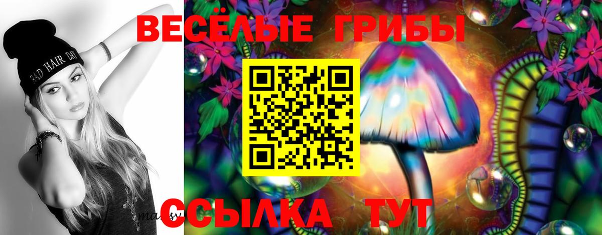 Белая Калитва  Галлюциногенные грибы Psilocybe  Вход с VPN 